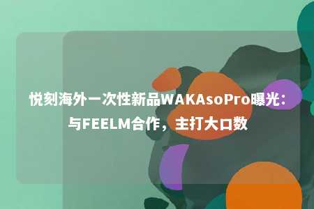 悦刻海外一次性新品WAKAsoPro曝光：与FEELM合作，主打大口数