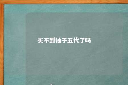 买不到柚子五代了吗